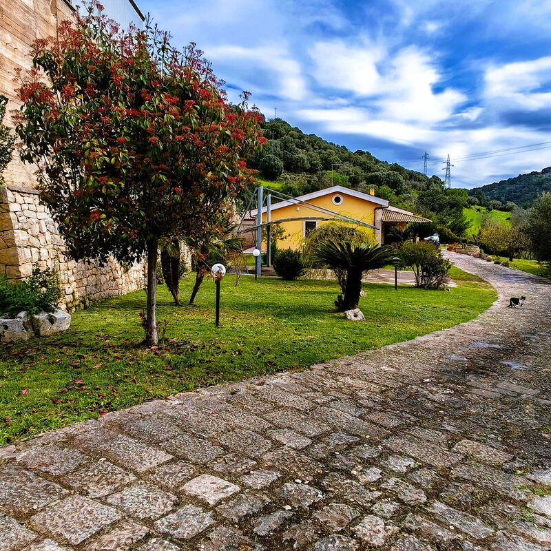 Villa del Monte: Jesen, Ljeto, Proljeće, Vrt