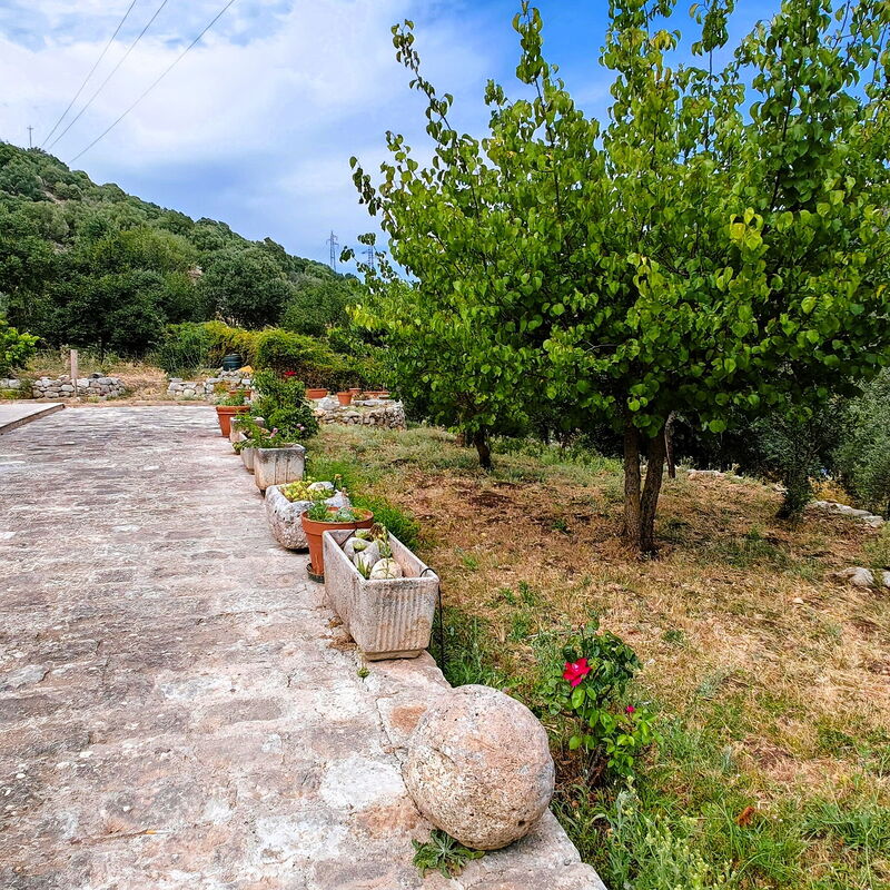 Villa del Monte: Jesen, Ljeto, Proljeće, Vrt