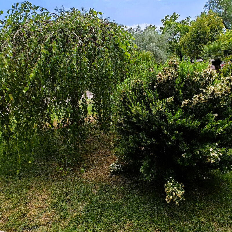 Villa del Monte: Jesen, Ljeto, Proljeće, Vrt