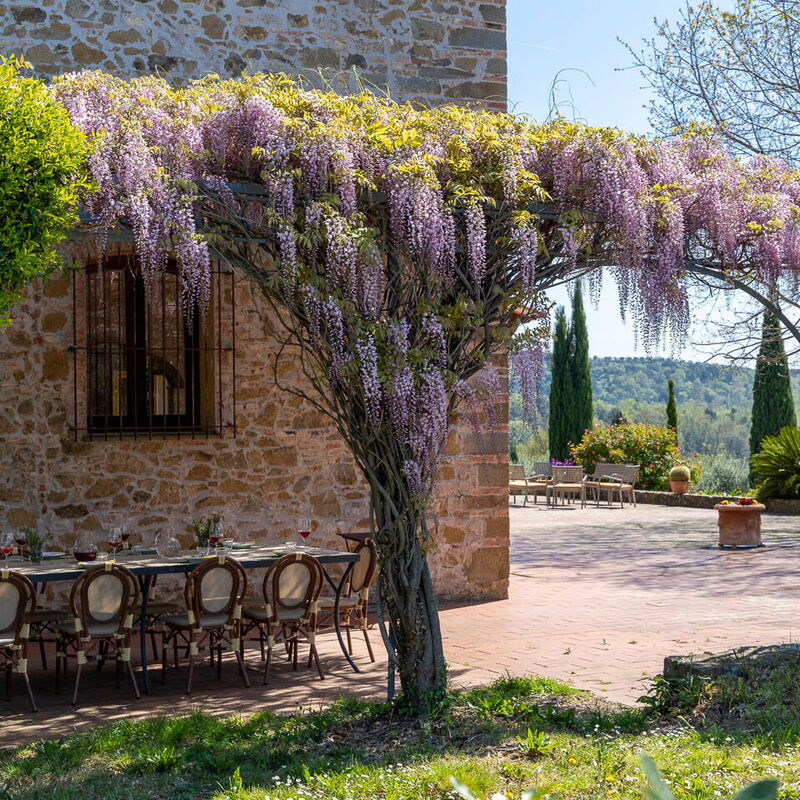 Il Leccio, Vinci, Private Pool and Tennis: Balkon / Terrasse / Patio, Frühling, Herbst, Sommer