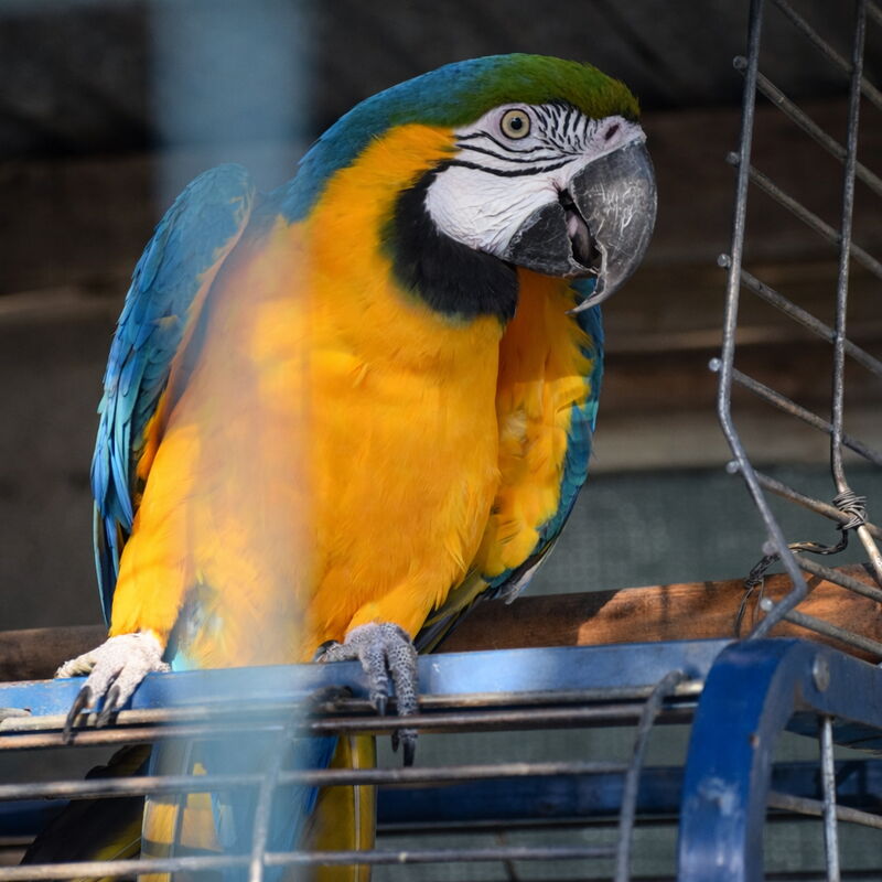 Ranch Salomonello: Draussen, Frühling, Garten, Herbst, Sommer