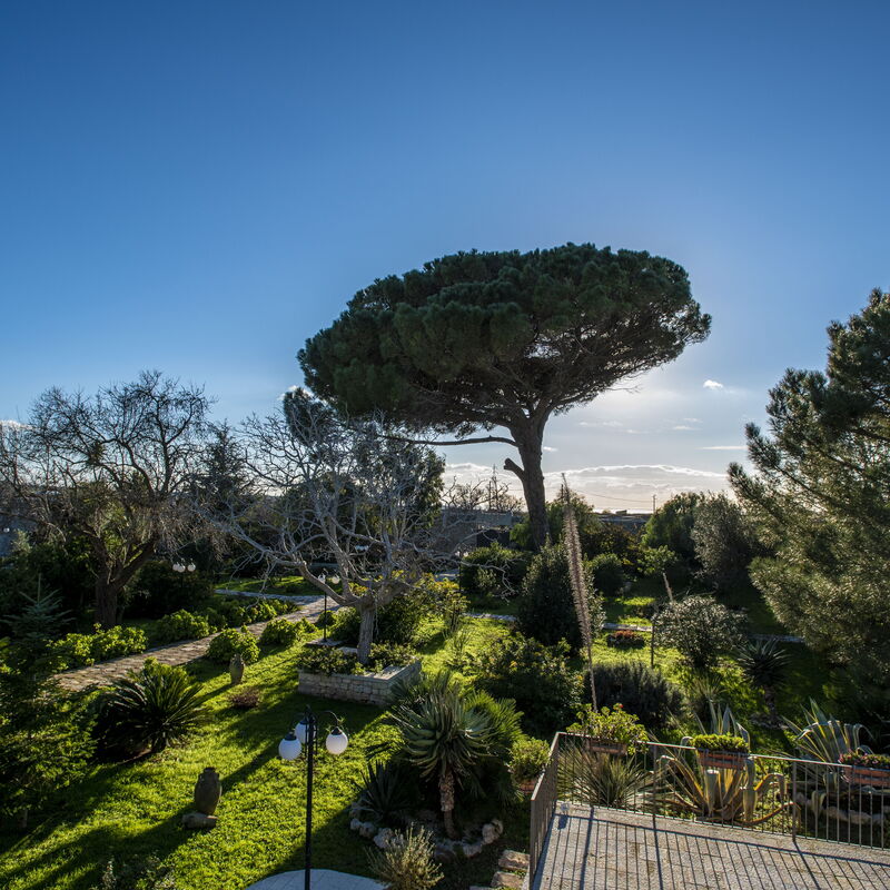 Tenuta Renna by Geco Vacation Rentals: Eksterijeri, Jesen, Ljeto, Otvoren, Pogledi, Proljeće, Vrt