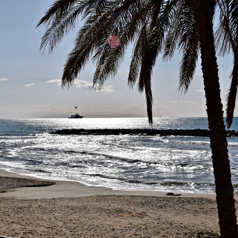 Casa Amare by Geco Vacation Rentals: all'aperto, Attività, Autunno, Estate, Esterni, Primavera