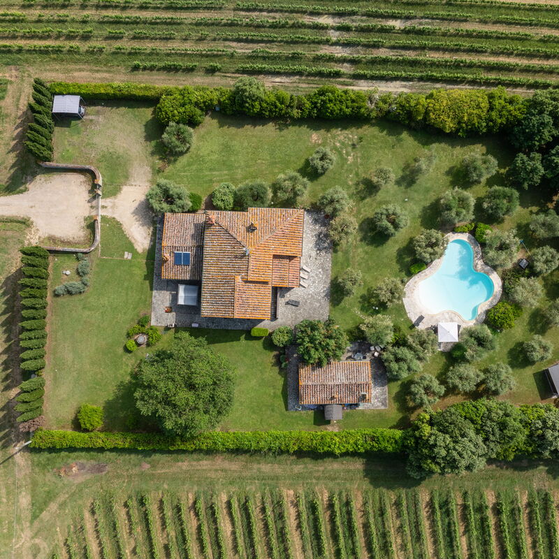 Podere Il Pozzangone, Lucignano