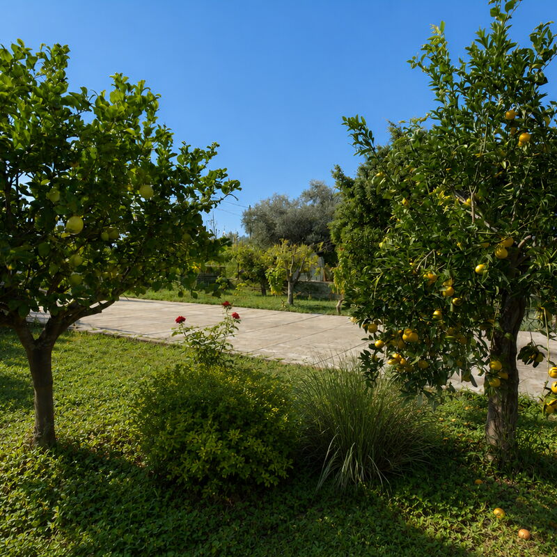 Villa Mameli: Frühling, Garten, Herbst, Sommer