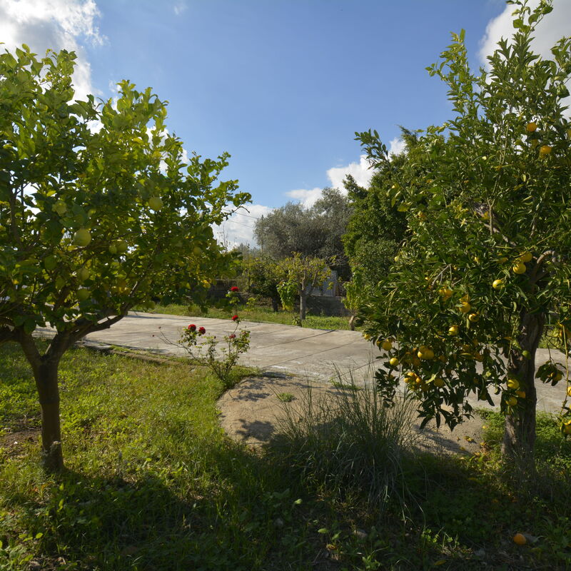 Villa Mameli: Autumn, Garden, Outdoor, Spring, Summer