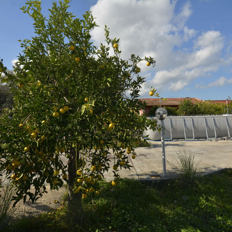Villa Mameli: Autumn, Garden, Spring, Summer