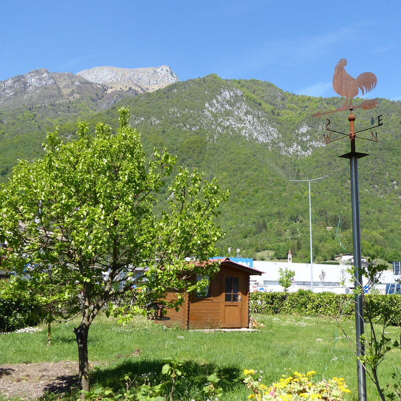 House Angy: Automne, Été, Jardin, Printemps