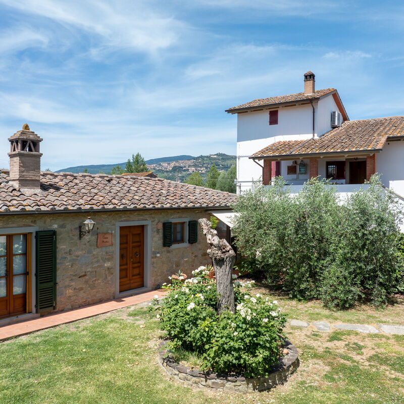 Il Cipresso, Casa Martina, Cortona: Automne, Été, Jardin, Printemps