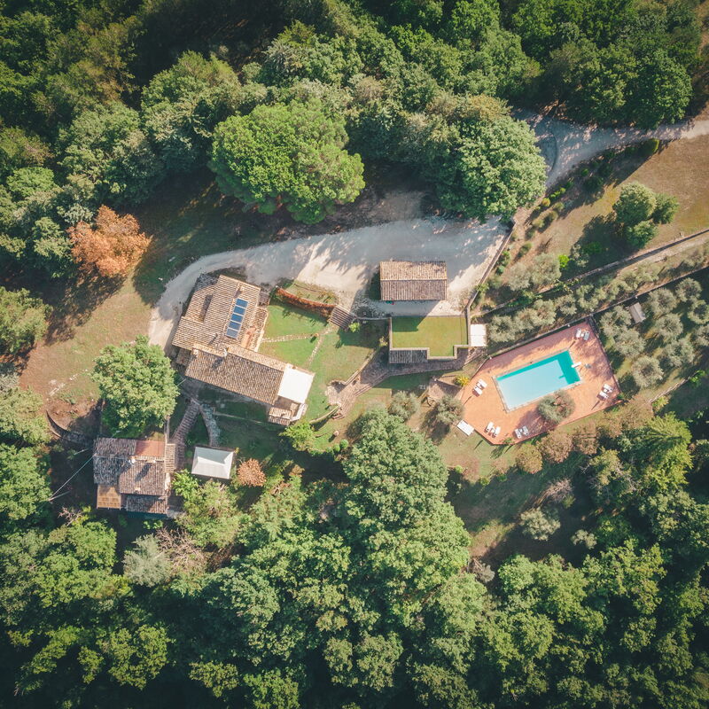 House in the Woods, Pool and Relax in Umbria: Jesen, Ljeto, Pogledi, Proljeće