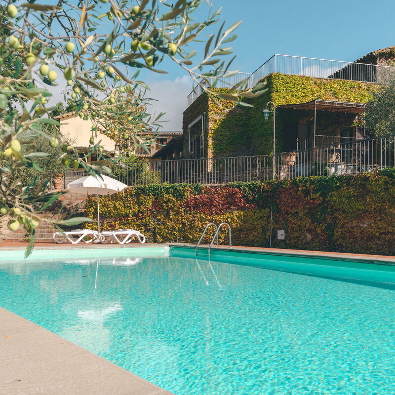 House in the Woods, Pool and Relax in Umbria: bazen, Jesen, Ljeto, Proljeće