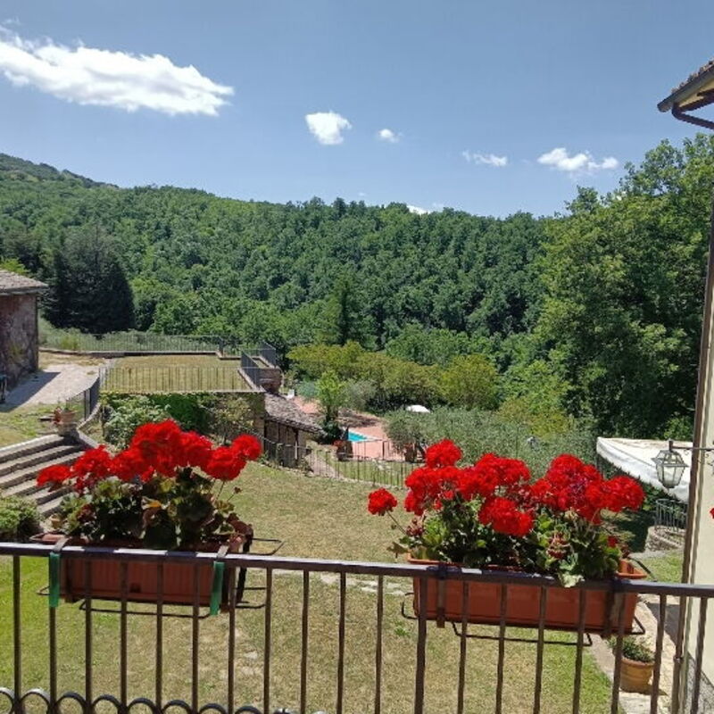 House in the Woods, Pool and Relax in Umbria