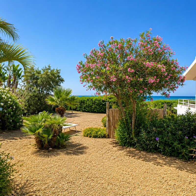 Punta Braccetto Fronte Mare: Außen, Balkon / Terrasse / Patio, Frühling, Garten, Herbst, Sommer