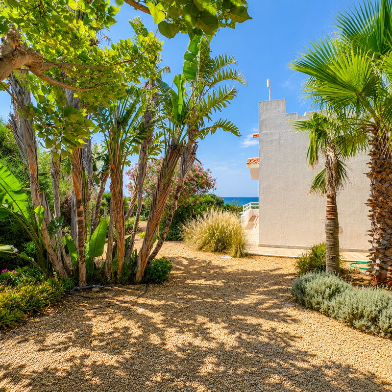 Punta Braccetto Fronte Mare: Außen, Balkon / Terrasse / Patio, Frühling, Garten, Herbst, Sommer