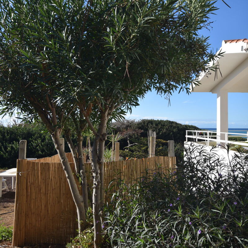 Punta Braccetto Fronte Mare: Autumn, Garden, Spring, Summer