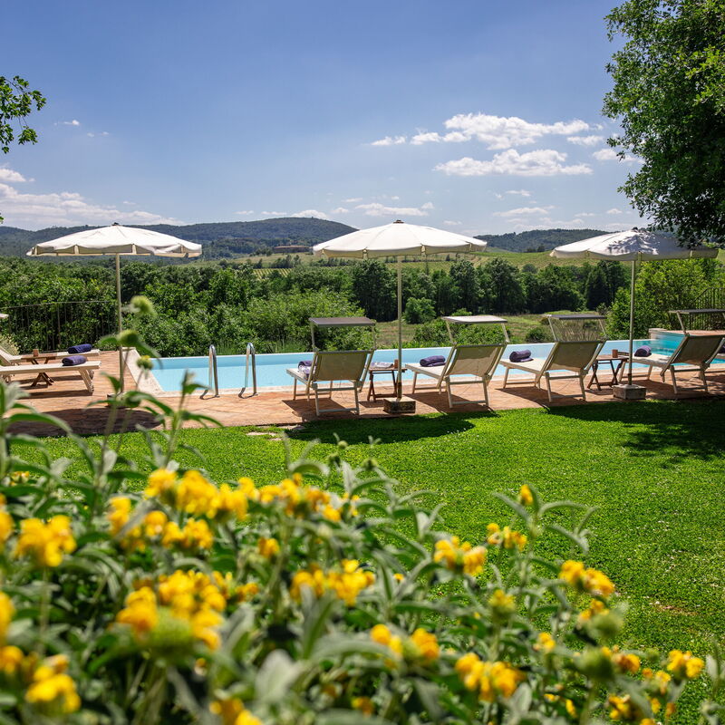 Villa Santa Barbara, Pool and Relax, Siena Countryside: Autumn, Garden, Pool, Spring, Summer