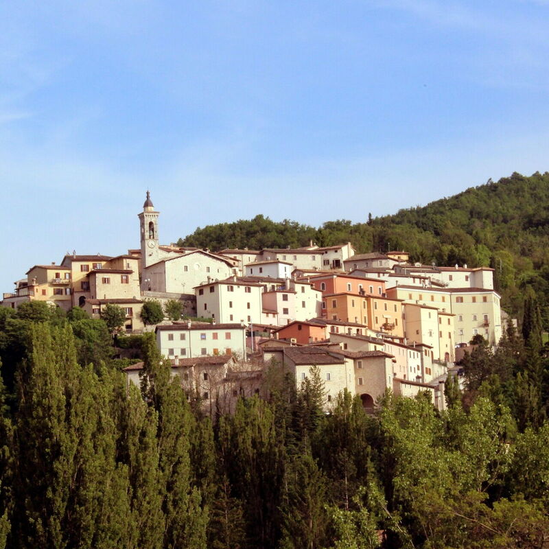Il Casale al Colle: Aktivnosti, Jesen, Ljeto, Otvoren, Proljeće
