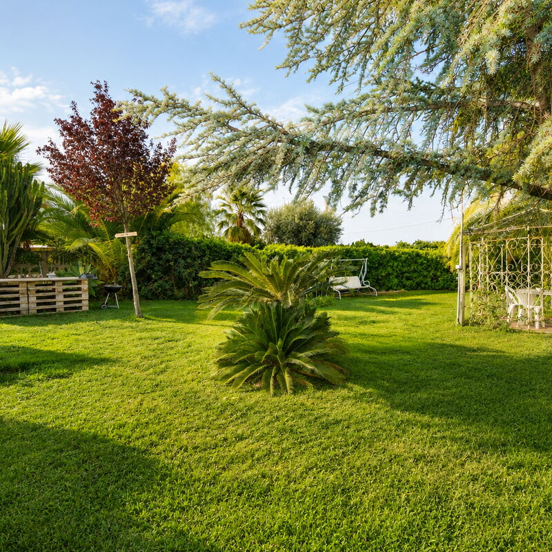 Il Cigno Reale Green: Frühling, Garten, Herbst, Sommer