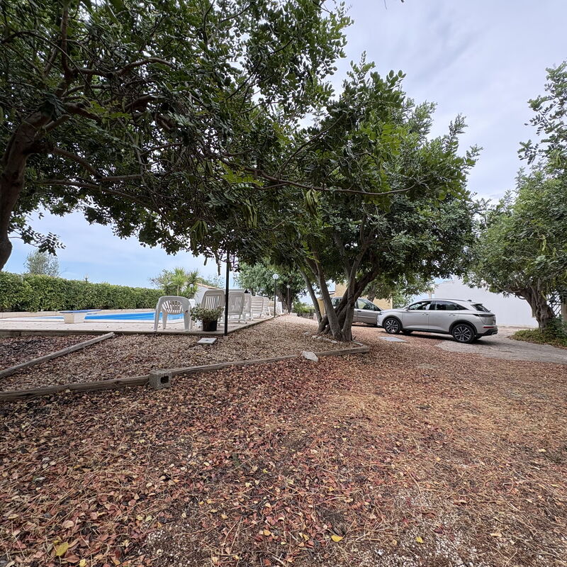 Casale Nardi: Garten, Herbst, Sommer