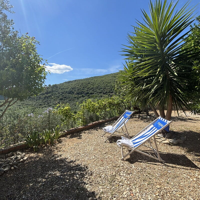 Il Fienile, Garden and Peacefull View: Jesen, Ljeto, Proljeće, Vrt