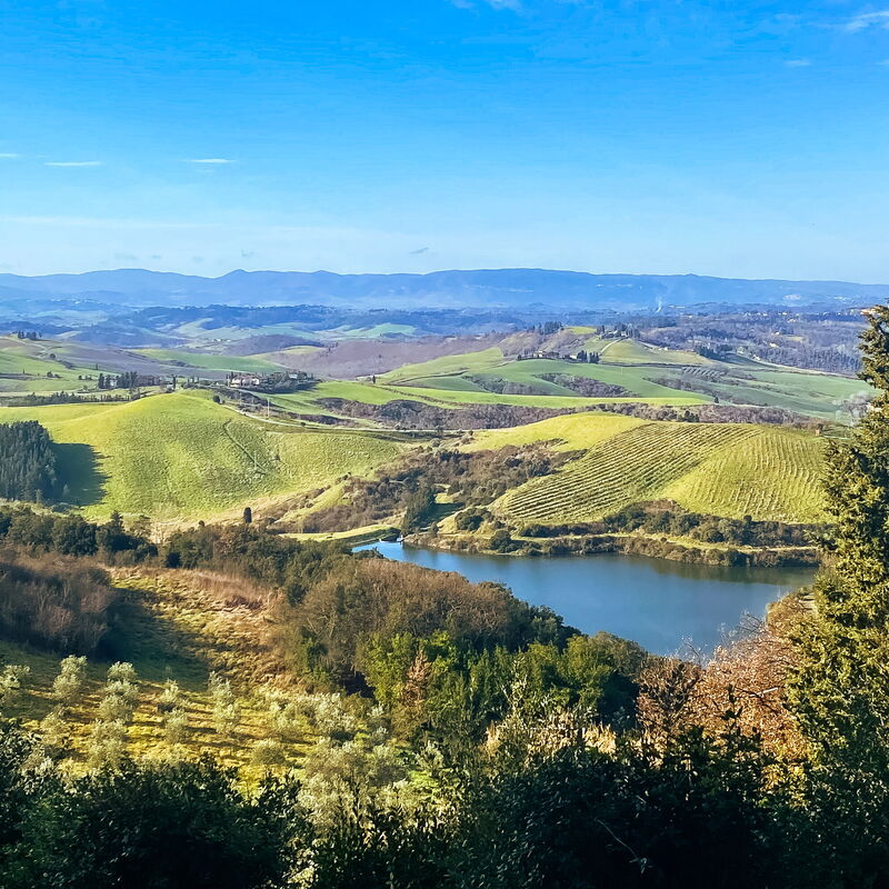 La Veduta - la Finestra su Castelfalfi: Aktivitäten, Draussen, Frühling, Herbst, Sommer