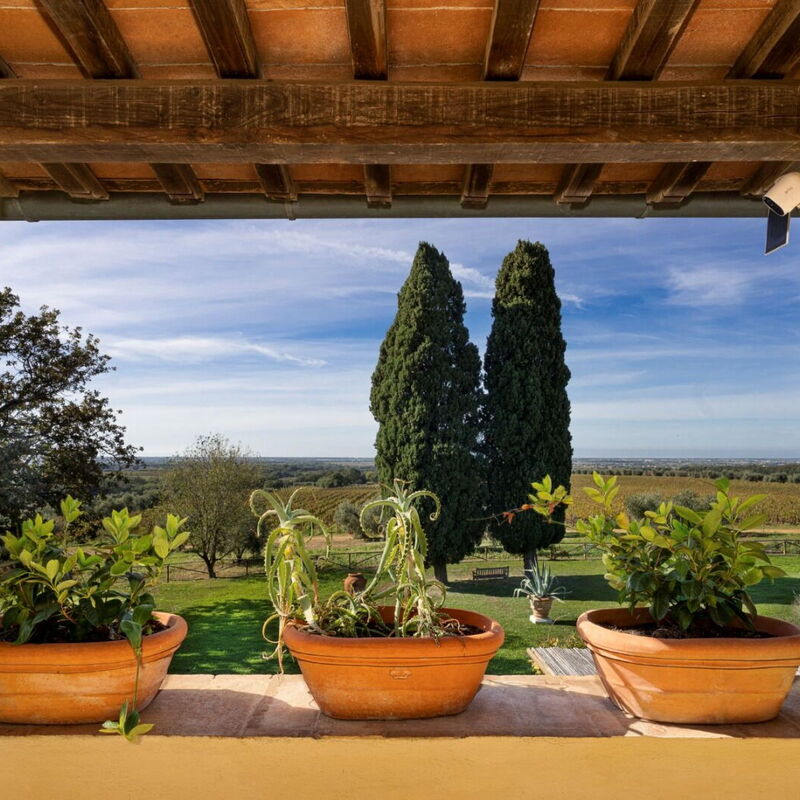 Casa Mare, Bolgheri: Autunno, Estate, Primavera