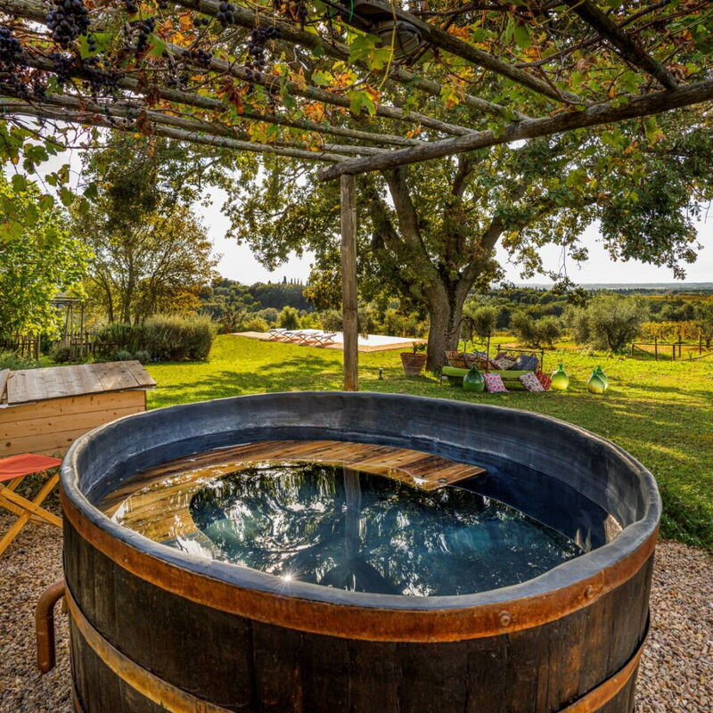 Casa Mare, Bolgheri: Autunno, Estate, Giardino, Primavera