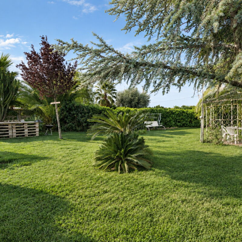 Il Cigno Reale White: Autumn, Garden, Spring, Summer