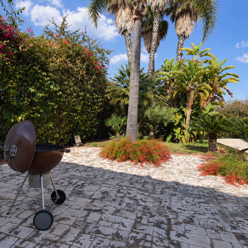 Villa le Palme, Marina di Ragusa: Automne, Balcon / Terrasse / Patio, Été, Jardin, Printemps