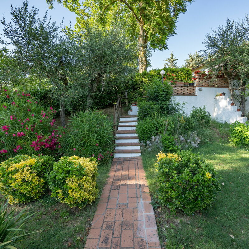 Villa Campiglia: Garden