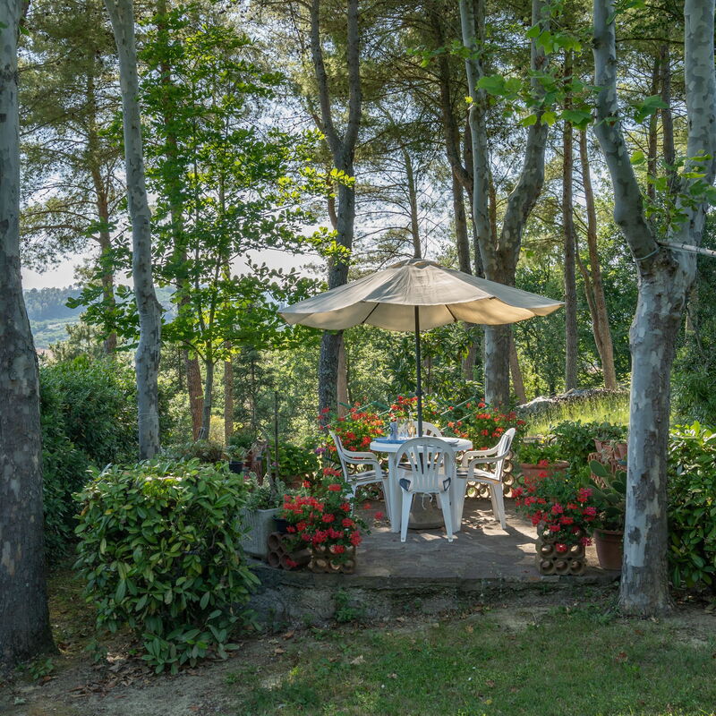 Villa Campiglia: Garden