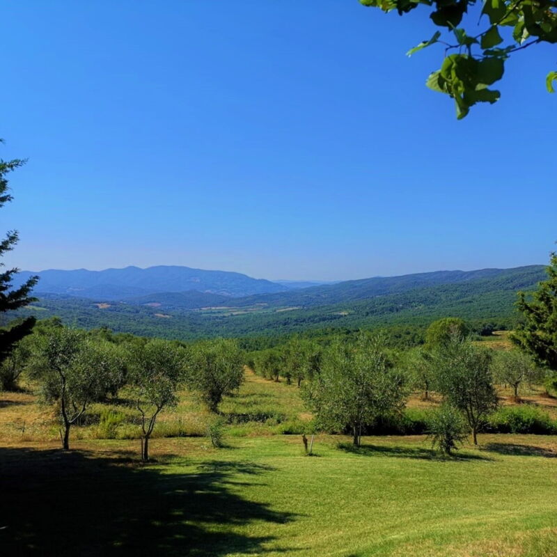 Villa San Martino: Garden