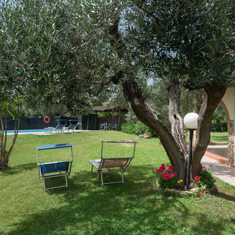 Villa Le Vigne: Building Exterior, Garden, Outdoor, Pool, Summer