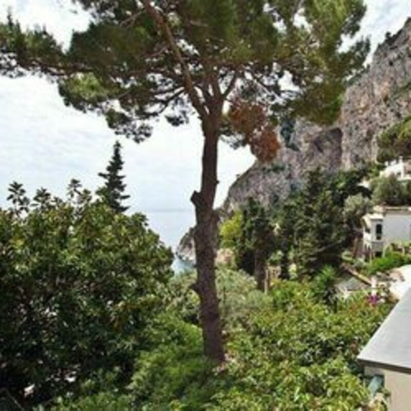 Villa Marina Little Beach: villa-marina-little-beach-capri-villa-external