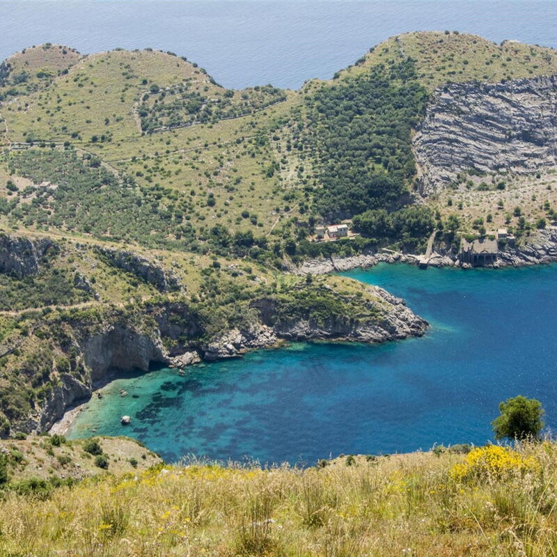 Medusa And The Seahorse Villa: medusa-and-the-seahorse-villa-massa-lubrense-apartment-external