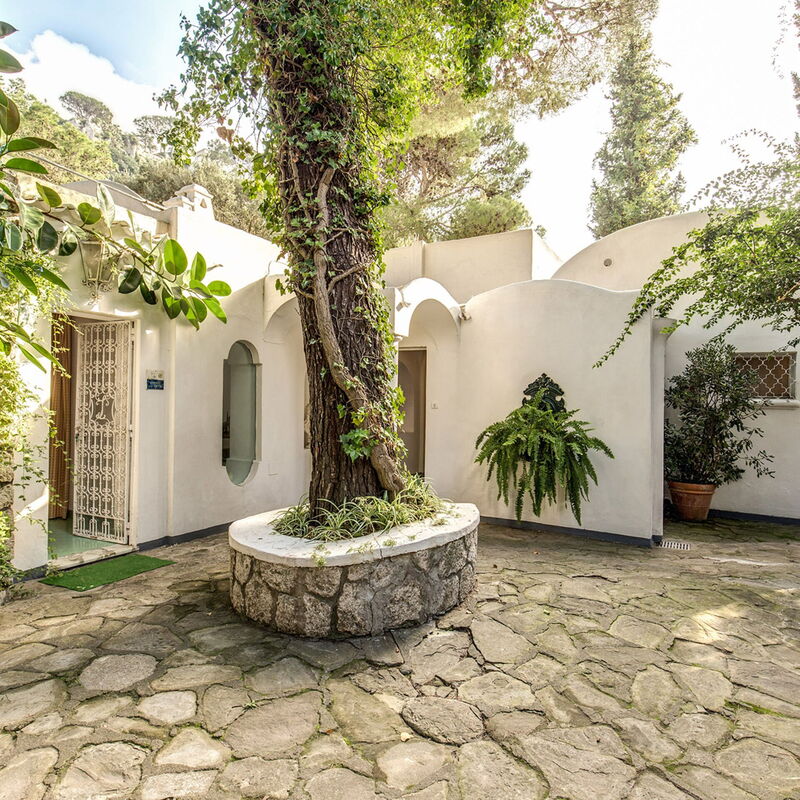 Villa Prestige '50: villa-prestige-50-capri-villa-garden