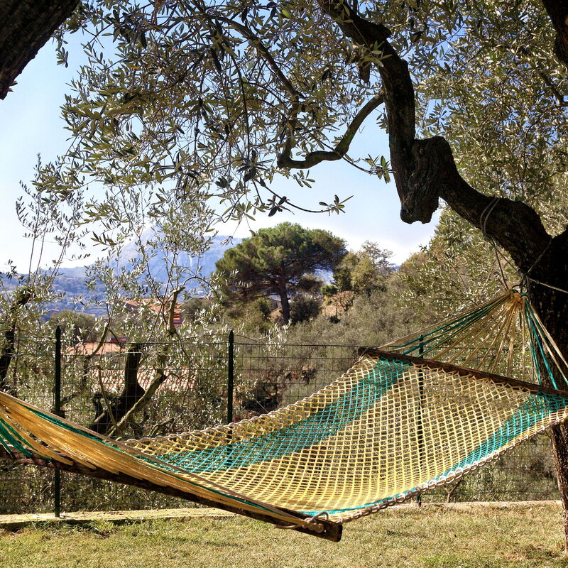 La Villa Dell'olio: la-villa-dell-olio-massa-lubrense-villa-external