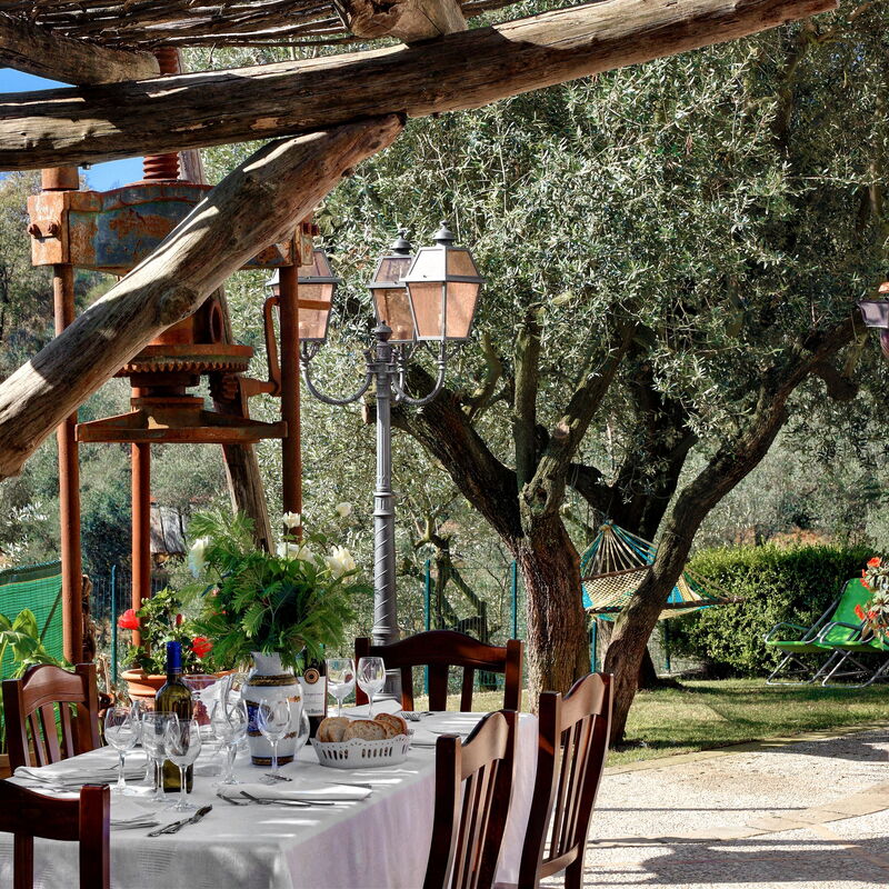 La Villa Dell'olio: la-villa-dell-olio-massa-lubrense-villa-garden