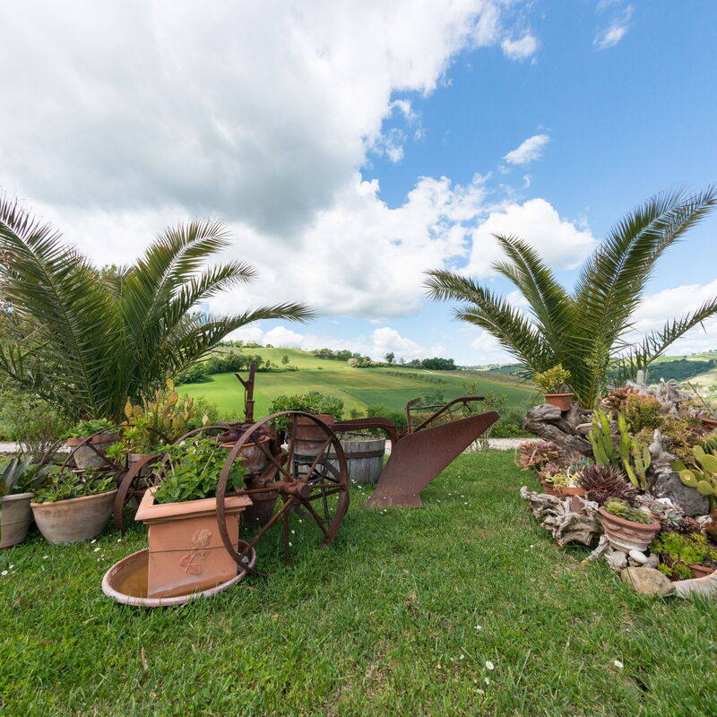 Rustico Nell'immacolata: rustico-nell-immacolata-civitanova-marche-villa-external
