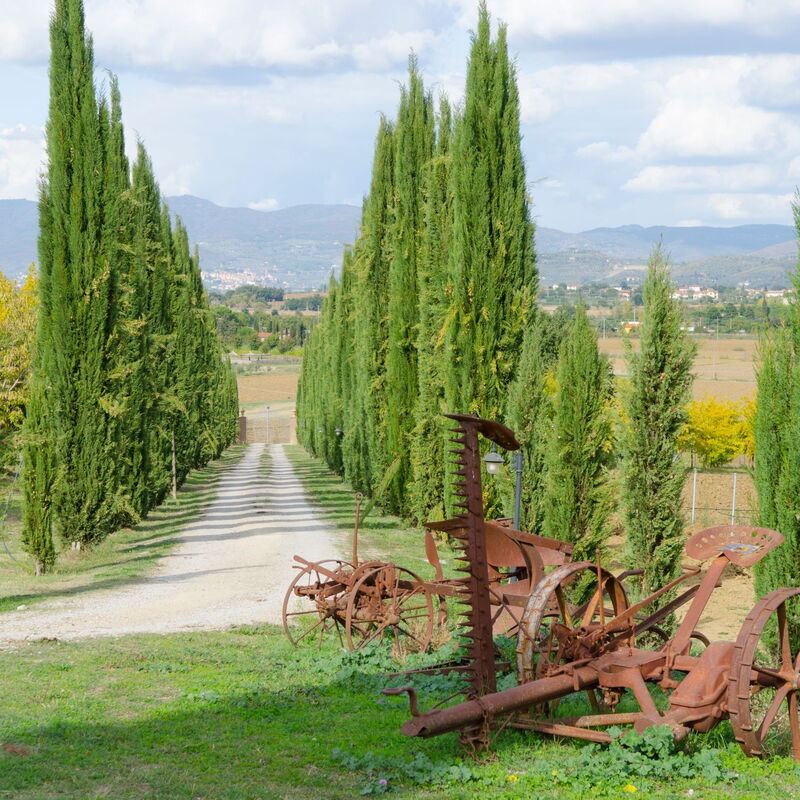 Relais Sogno Dei Fiori: relais-sogno-dei-fiori-fratticiola-cortona-villa-garden