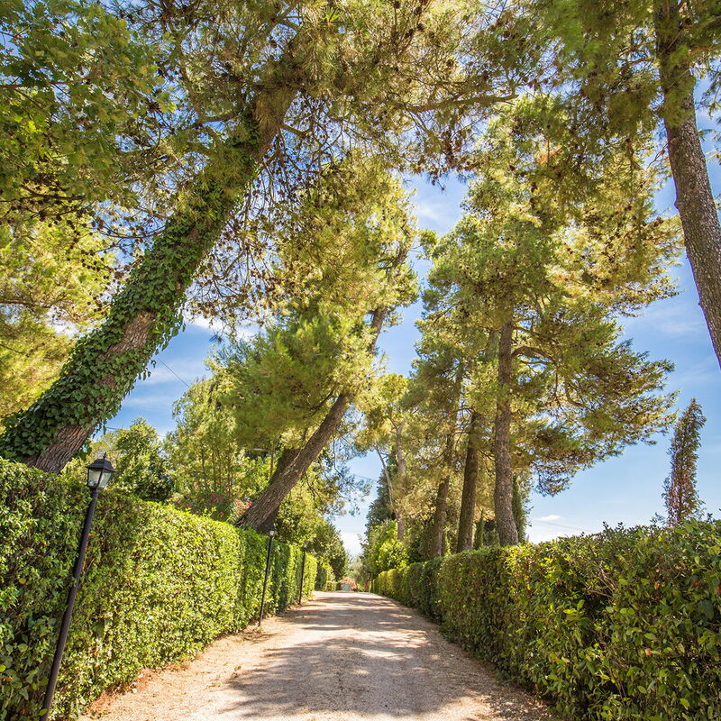 La Corte Del Grano: la-corte-del-grano-abbadia-villa-external