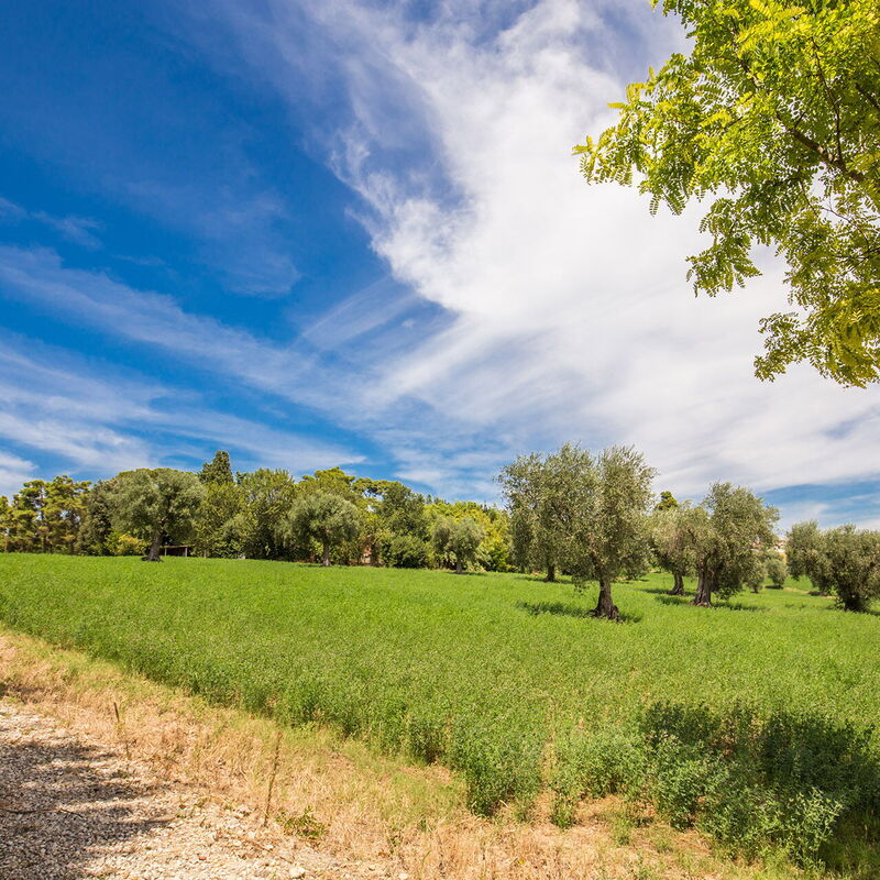 La Corte Del Grano: la-corte-del-grano-abbadia-villa-external