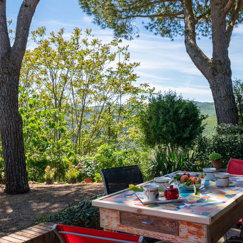 Villa Gabry: Garden, Outdoor