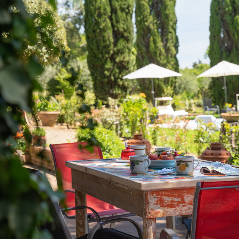 Villa Gabry: Garden, Outdoor