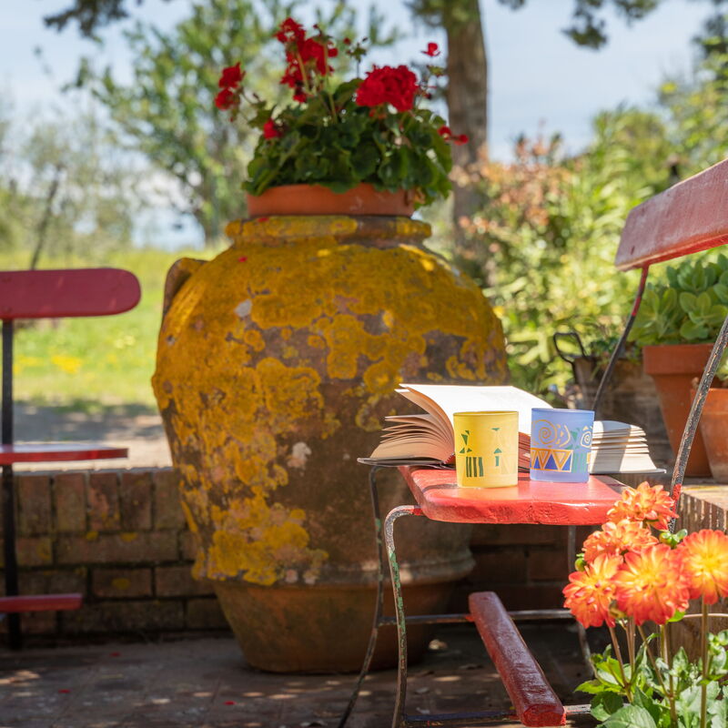Villa Gabry: Garden, Outdoor