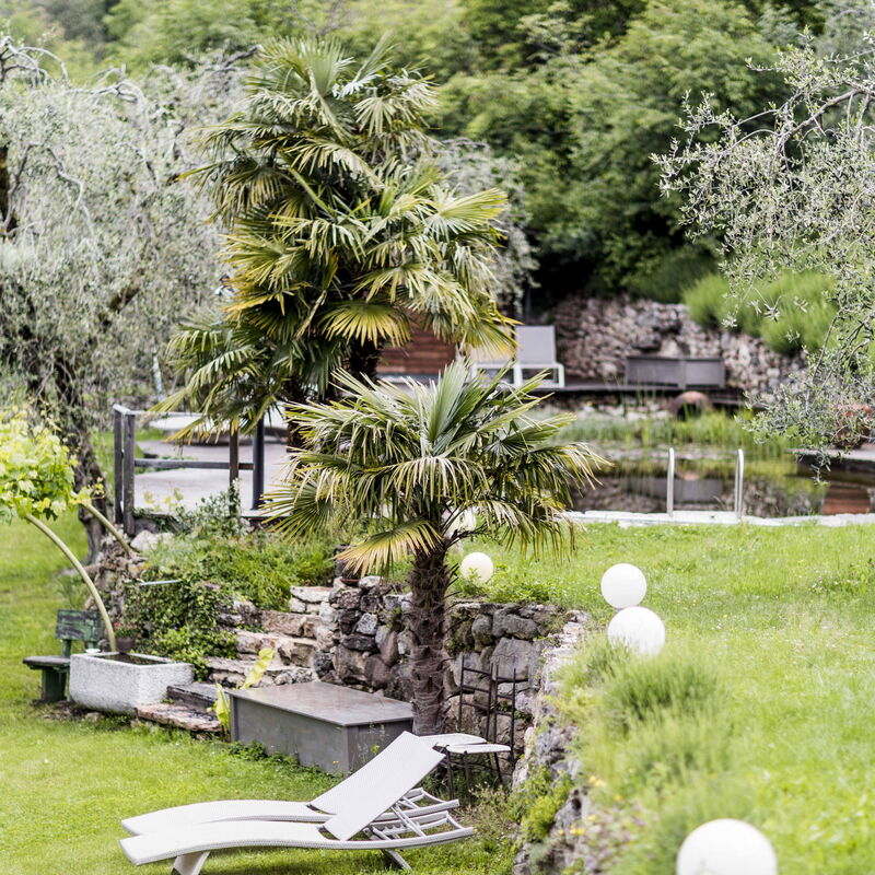 Dimora Delle Ninfee Del Garda: dimora-delle-ninfee-del-garda-castelletto-villa-garden