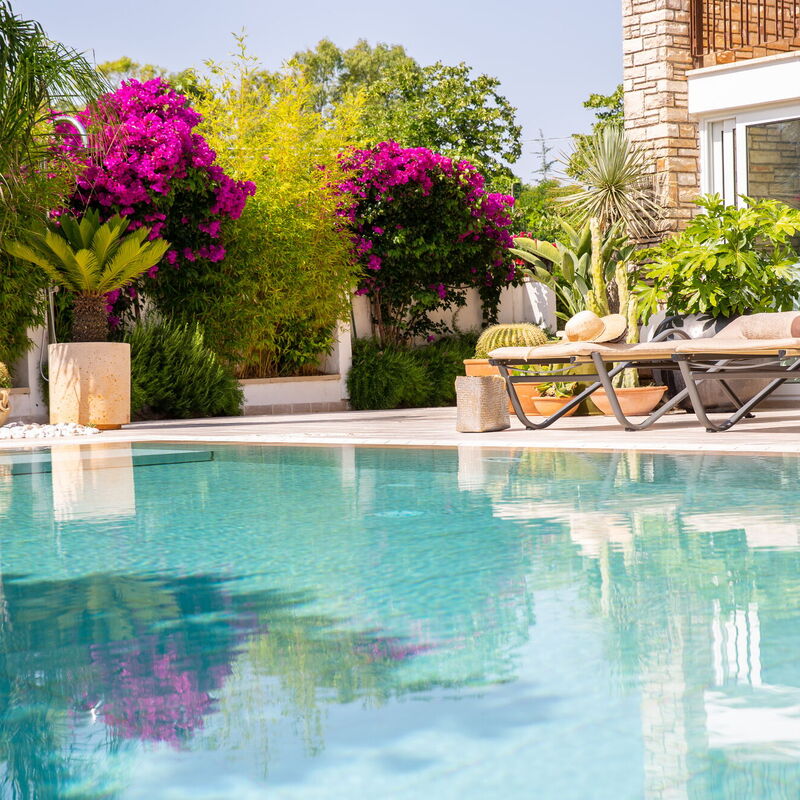 Villa Salento Shine: bazen, Eksterijeri, Glavni ulaz, Otvoren, Vrt