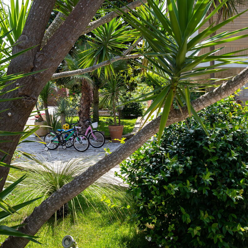 Villa Salento Shine: Eksterijeri, Otvoren, Vrt