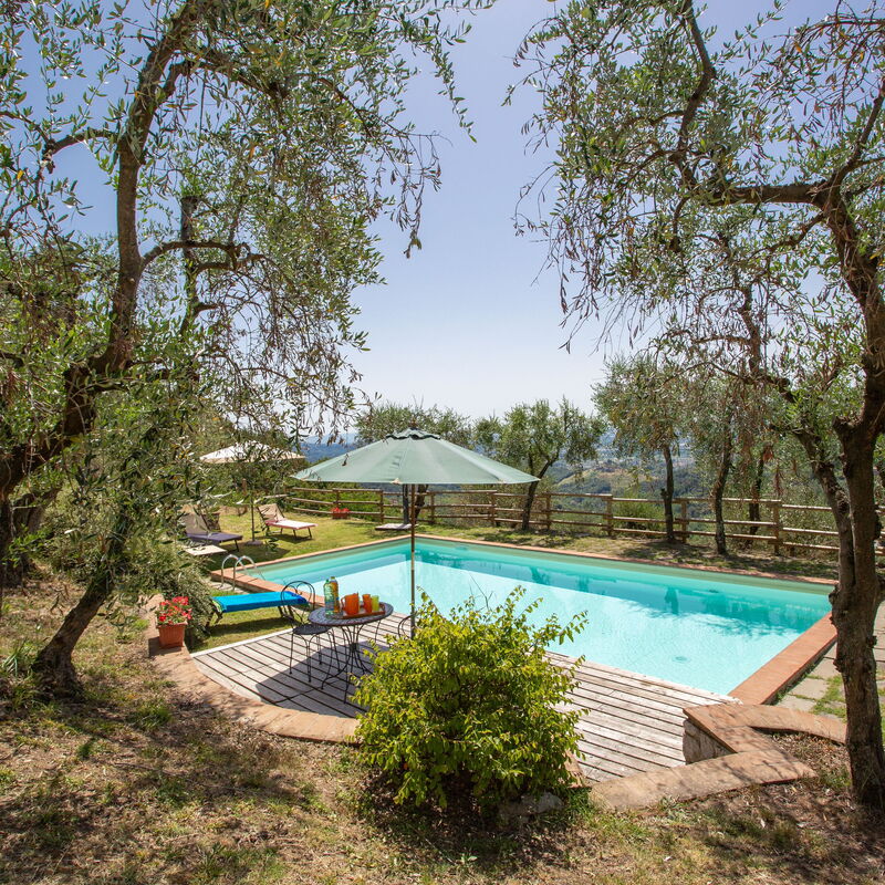 Villa Mastiano: Garden, Pool