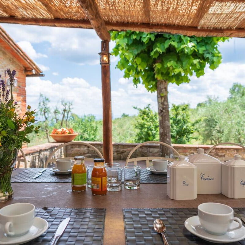 Stony Tuscan Farm: Balcony / Terrace / Patio, Garden